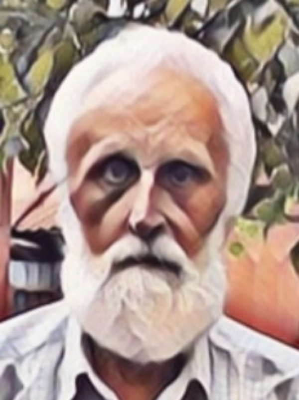 владимир наумов
