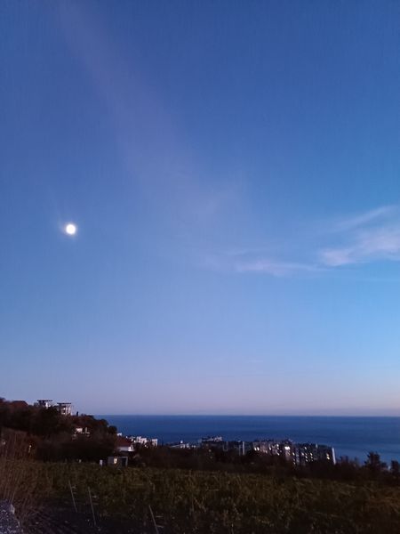 Ириша Ириша