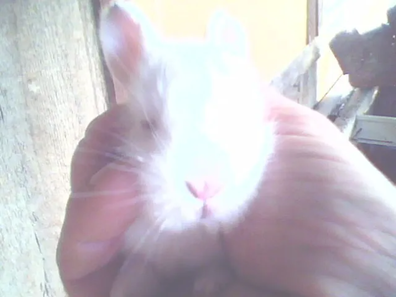 Анатолий Паулкин