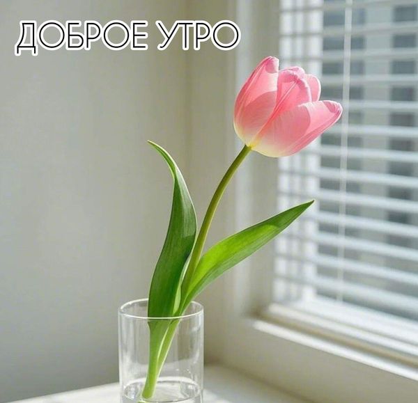 Надежда