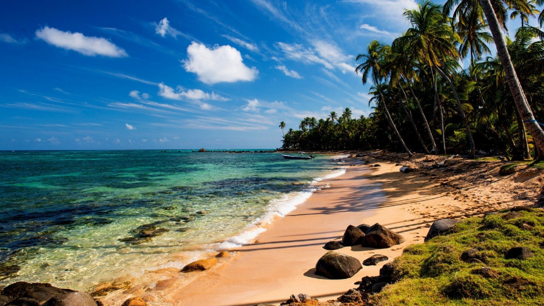 Светлана Малинина