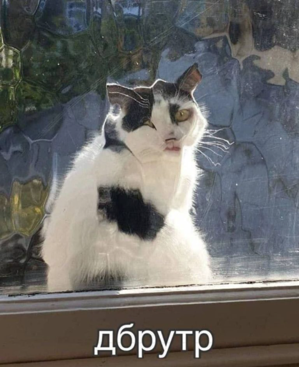 Мурзик