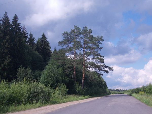 антонина