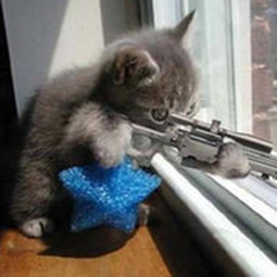 Дмитрий Петров