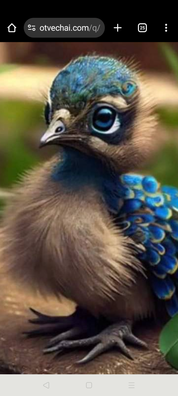 опять санька