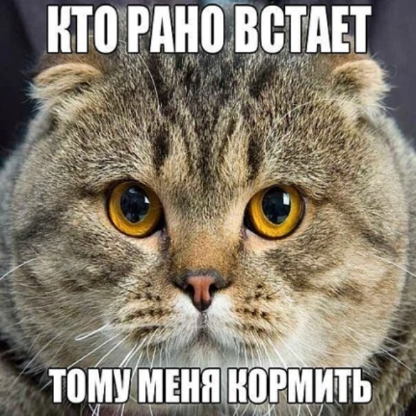 Андрей Достовалов
