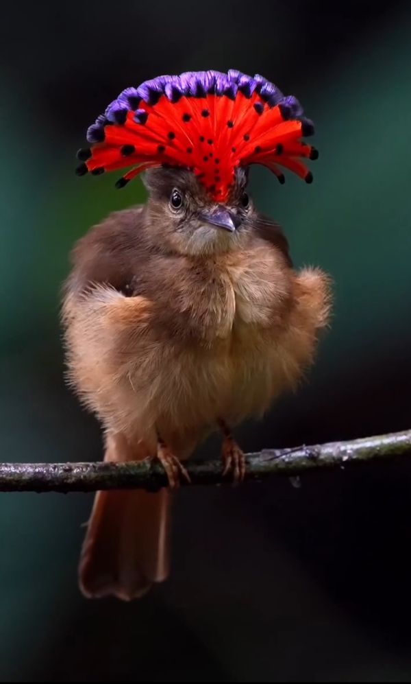 Зажи🍀Галка))