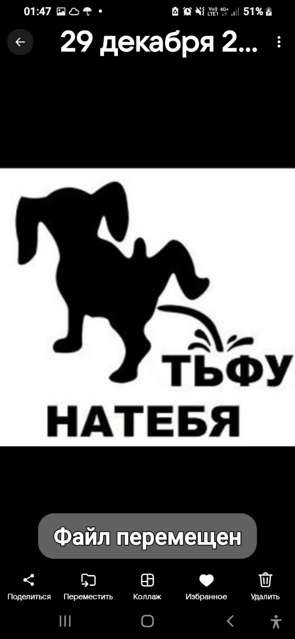 Не прощающий