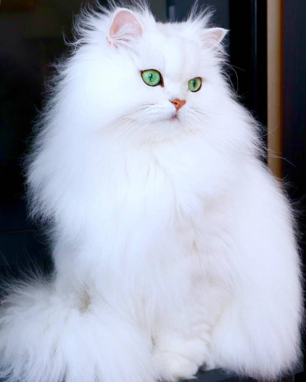Людмила