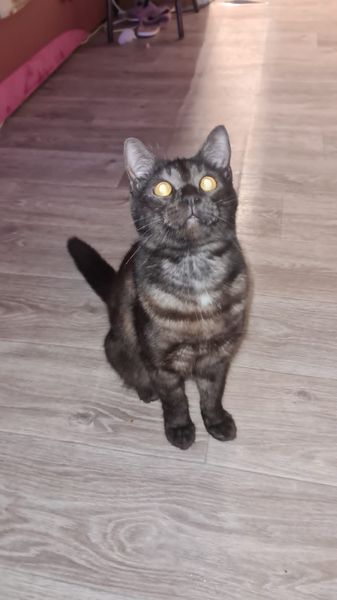 Наталья🌷🌷🌷