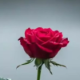 Натальюшка 🥰🥰🥰