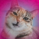 Марина