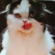 Натальюшка 🥰🥰🥰