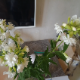Самая Любимая