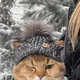 Виктор