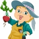 Дачница🍓🍐🍎🍒🍅