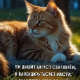 Юля